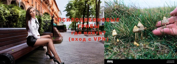 мдпв Лихославль