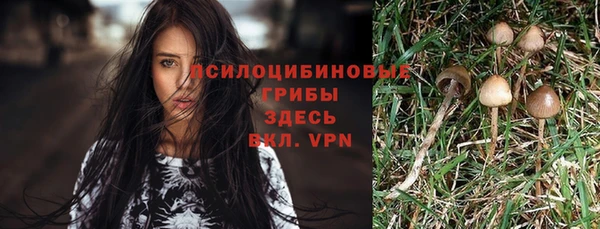 мдпв Лихославль