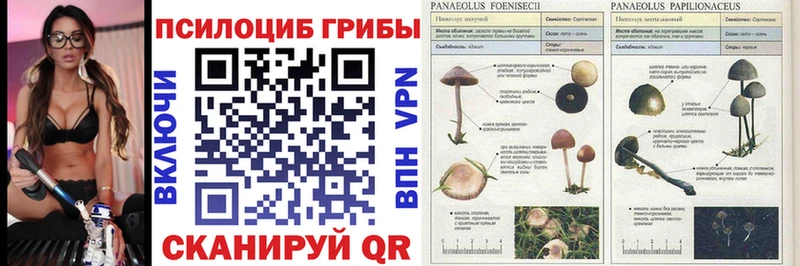 Галлюциногенные грибы мухоморы  где купить наркоту  Минусинск 