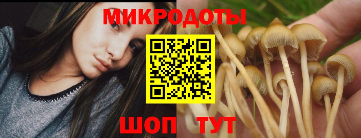 Галлюциногенные грибы ЛСД  Псилоцибиновые грибы Magic Shrooms  Вход с VPN  Минусинск 